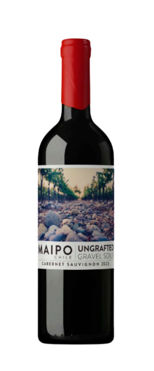 Ungrafted